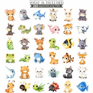 animal bundle, animal clipart, animal clip art, animal png, baby animal, clipart bundle, cute animal clipart, cute animal png, cute animals, cute animals png, printable animal, watercolor animal, watercolor animals