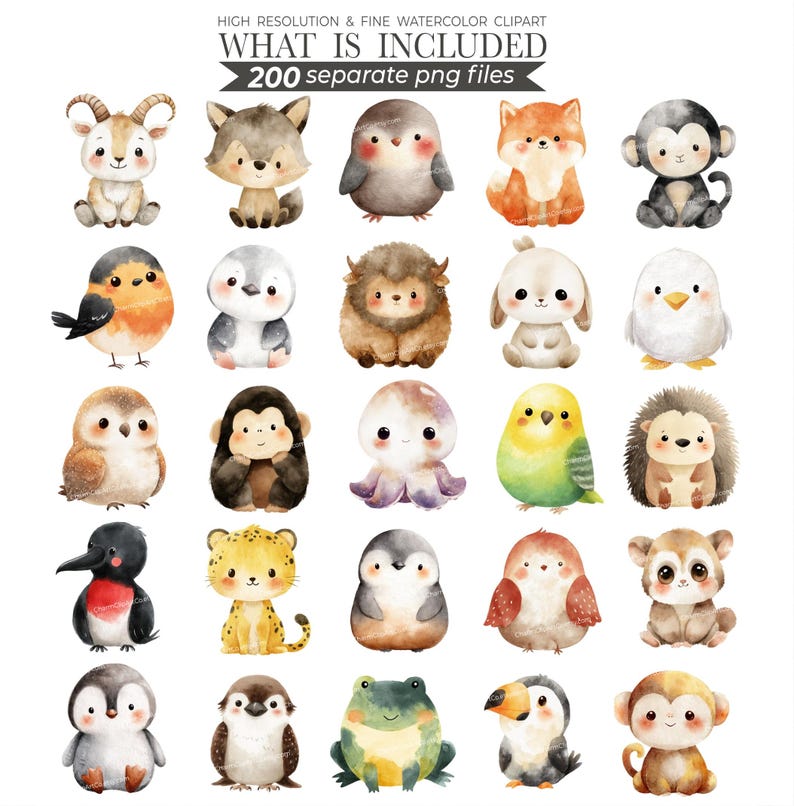 cute animals clipart, animal clipart, watercolor animals, cute animals png, baby animals, animal bundle, printable animals, animal clip art, clipart bundle, cute animal bundle, nursery art, baby shower animals, baby animal png