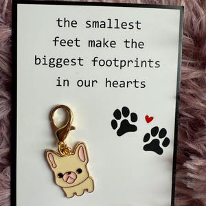 Faites passer l'amour avec ces belles cartes de câlin de poche en forme de chien