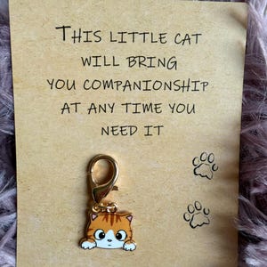 Répandez l'amour avec ces belles cartes de câlin de poche pour chat/cadeaux/remplisseurs de bas/cadeaux d'anniversaire
