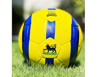 2010 ジャブラニ フットボール | 公式試合球 ワールドカップボール