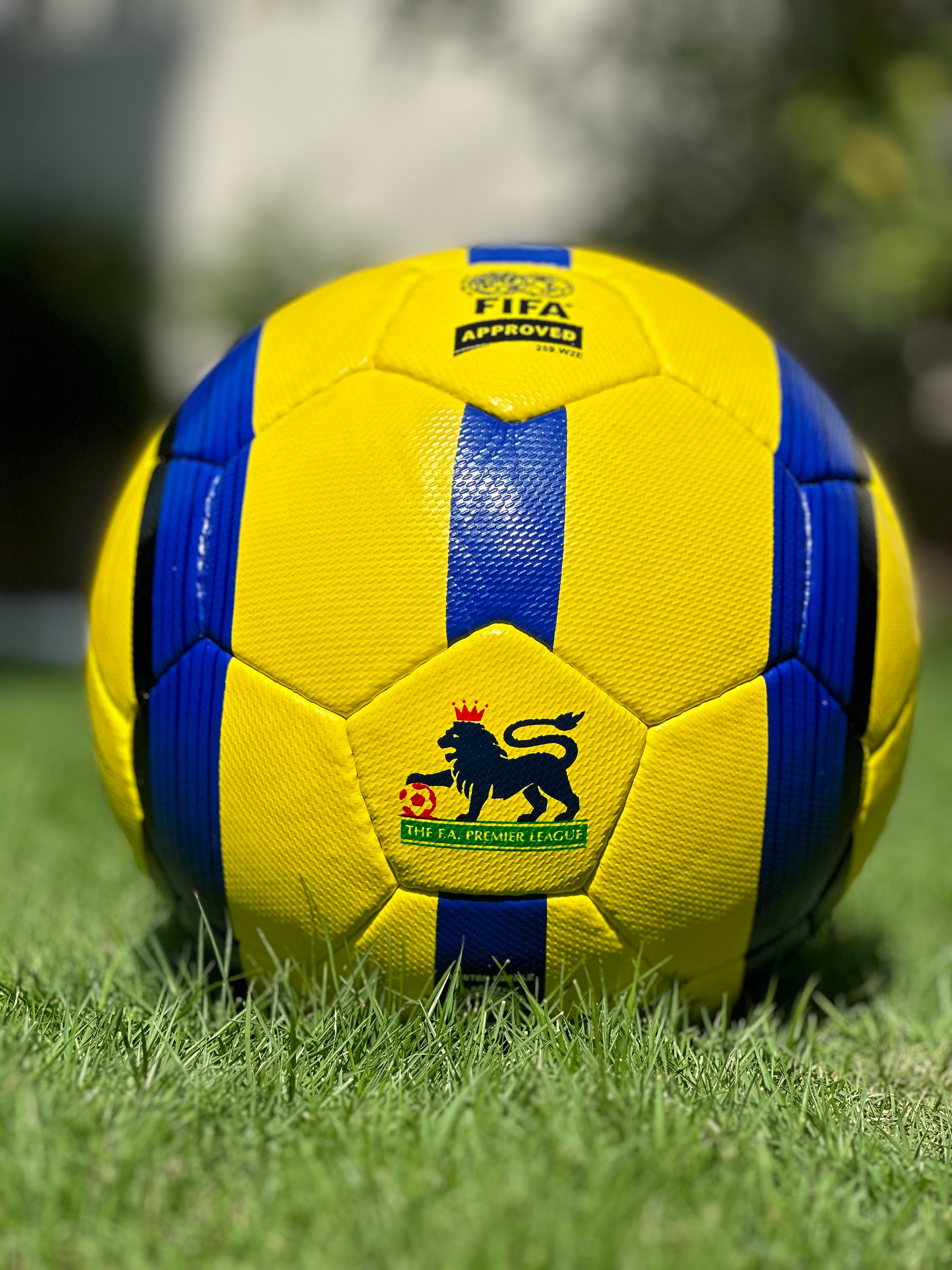 Official Match Ball 