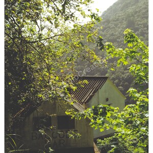 Balconi di Madeira, Fotografia su pellicola, Arte murale vintage, Download digitale, Stampa su pellicola