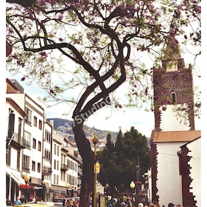 Cidade do Funchal, Fotografia de Filme, Arte de Parede Vintage, Download Digital, Impressão de Filme