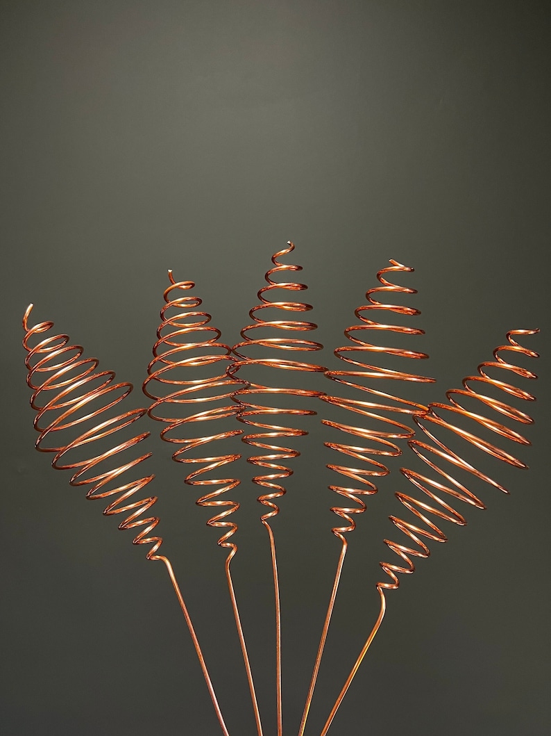 5 PACK Large Electroculture Copper Garden Antennas Full Ighina Spiral 5-pack-large-electroculture-copper-garden-antennas-full-ighina-spiral