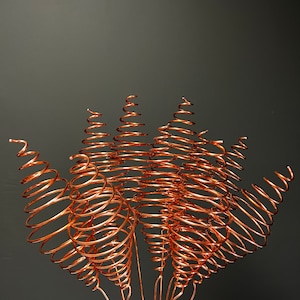 May include: A group of copper wire spirals arranged in a flower-like shape. The spirals are all connected at the base and are arranged in a way that creates a sense of movement and energy.