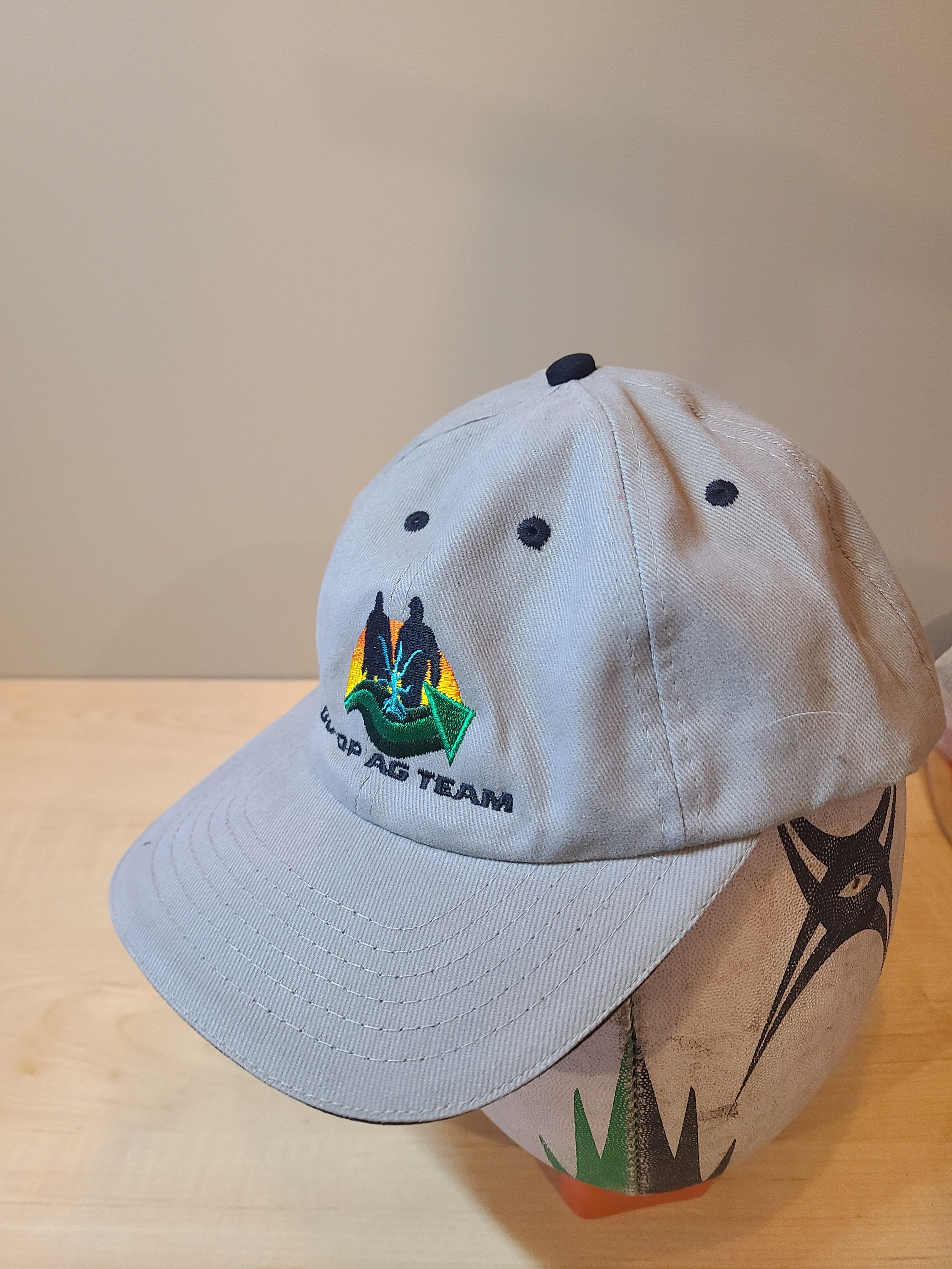 完璧主義 Farmer Co-op Vintage Hats Etsy - メンズウェア
