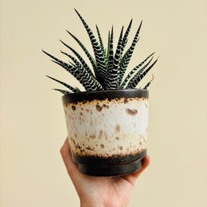 West German Planters - Etsy