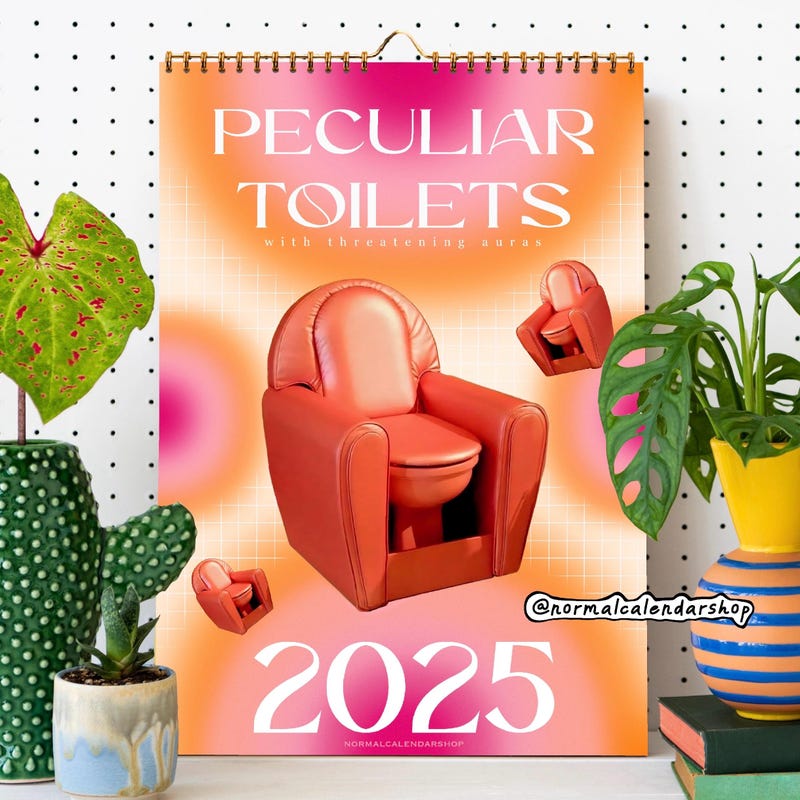 2025 Funny Calendar Etsy UK