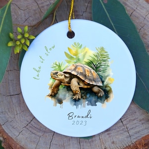 Personalized Turtle Ornament, Tortoise Gifts, Turtle Decor, Gift for Turtle Lover, Custom Tortoise Ornament,  Galapagos Islands, Madagascar
