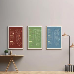 May include: Three framed posters with a white background and black outlines. The posters are each a different color: red, green, and blue. Each poster features a different Pokemon evolution line, with the names of the Pokemon listed on the side. The red poster features Charmander, Charmeleon, and Charizard. The green poster features Bulbasaur, Ivysaur, and Venusaur. The blue poster features Squirtle, Wartortle, and Blastoise.