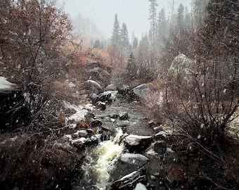 Snow in the Jemez Mountains, New Mexico
