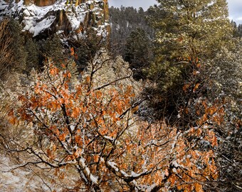 Battleship Rock, Jemez Mountains, New Mexico