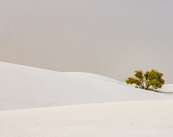 White Sands National Park, New Mexico - Photo Print