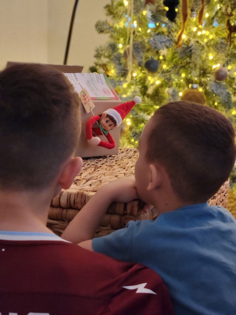 EDITABLE Elf Shipping Label, Santa Mail, ELF Arrival Box Label, Elf