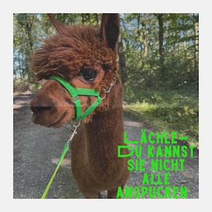 Smile – you can&#39;t spit on them all – Funny Alpaca Poster – Instant Download