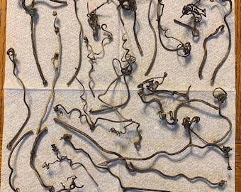 20 Grapevine Tendril, Curls