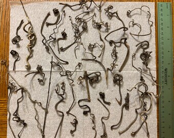 20 Grapevine Tendril, Curls