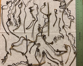 20 Grapevine Tendril, Curls