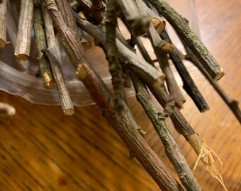 Apple Tree Branches, dried