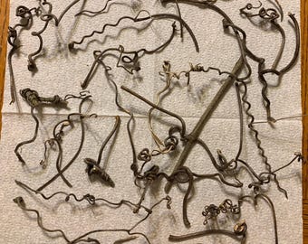 20 Grapevine Tendril, Curls