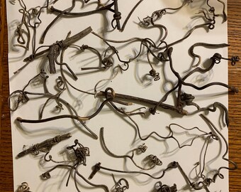 20 Grapevine Tendril, Curls
