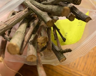 Apple Tree Branches, dried