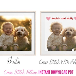 ADD- ON to your Custom Cross Stitch Pattern from your Photo ( This is not the PATTERN)