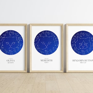 Taylor Swift&#39;s Starlight Cat Lovers Bundle - PNG