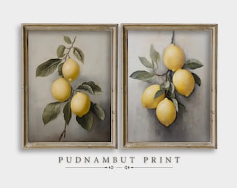 Vintage Lemon Still Life Art Prints Set of 2, Rustic Farmhouse Kitchen Decor, Mediterranean Wall Art