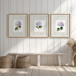 Op de afbeelding: Drie ingelijste aquarelprints van hortensia's. Elke print toont een lichtblauwe en paarse hortensiabloem met groene bladeren tegen een gestreepte achtergrond. De frames zijn goudkleurig en de prints worden boven een houten bank weergegeven.