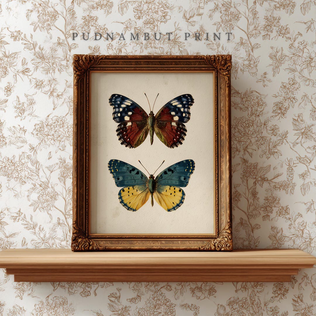 Antique Moth Art Print, Neutral Butterfly Wall Art, Cottagecore Moody ...