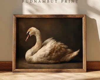 May include: A framed print depicting a swan with white and tan plumage, a curved neck, and an orange beak. The artwork is set against a dark brown backdrop. The text "PUDNAMBUT PRINT" is printed at the top.
