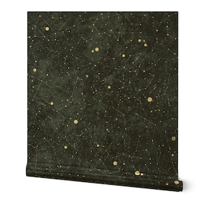 Carta da parati metallica oro o argento cielo notturno - Costellazioni di rebecca_reck_art - Rotolo di carta da parati con stelle e costellazioni di Spoonflower