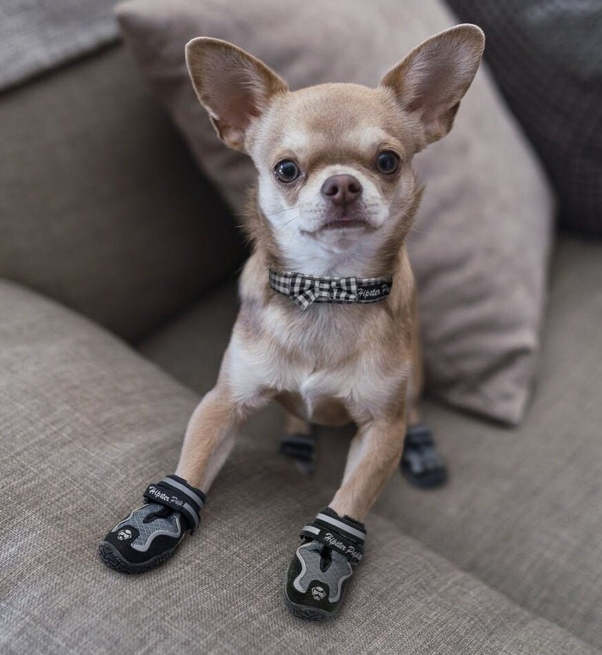thumbnail image 2 of 3 Sets Of Pet Rainshoes Dog Boots Thickened Dog Rain Shoes Pet 2 of 13