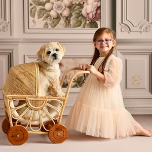 Daisy Mae Doll Pram Children's Toy & Photography Prop image 5