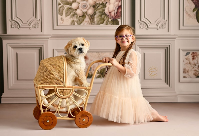 Daisy Mae Doll Pram Children's Toy & Photography Prop image 5