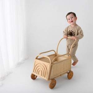 Rainbow Rattan Toddler Push Cart Children's Toy Baby Walker Toy and Storage image 1