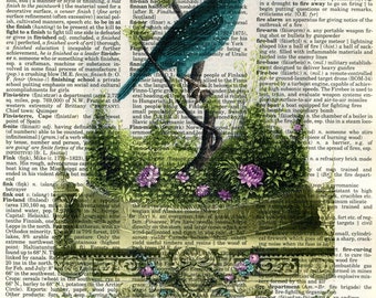 Bird in a Cage Dictionary Art Print
