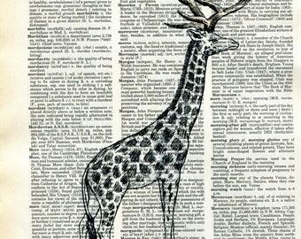 Giraffe with Antlers Dictionary Art Print