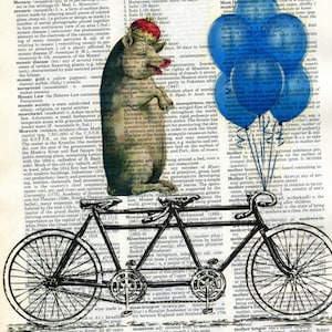 Pig Riding a tandem bike balloons Dictionary Art Print