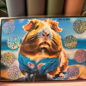May include: A close-up of a guinea pig wearing a blue and white shirt with a surfboard graphic. The guinea pig is surrounded by iridescent glitter stickers with the text "($1 to $6)" and "budgeting4me".