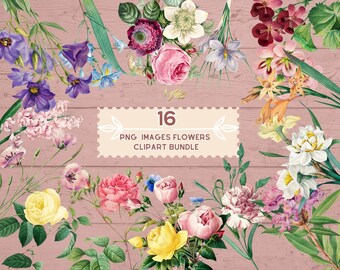 Vintage Flowers Illustrations PNG Digital Download Printable Clipart, Digital Wall Art,Botanical Clip art, Junk Journal Print, Ephemera Pape