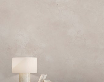 Beige Plaster Limewash Textured Wall Mural - Cement Concrete Venetian Stucco Wallpaper AM068