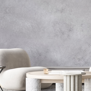 Light Gray Plaster Limewash Wall Mural - Textured Cement Concrete Effect Venetian Stucco Wallpaper AM070