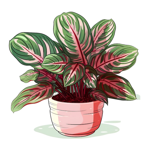 Prayer Plant PNG, Digital Art, Not a real plant