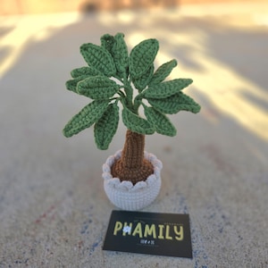 Money Tree Plant Pot, Lucky Plant Pot | Home Decor | Desk Decor Plant | Birthday Gift | House Decoration | Mother's Day Gift