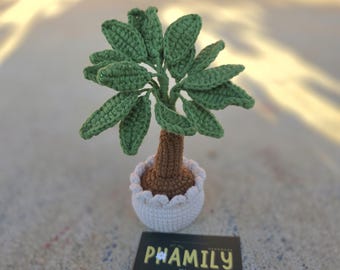 Money Tree Plant Pot, Lucky Plant Pot | Home Decor | Desk Decor Plant | Birthday Gift | House Decoration | Mother's Day Gift