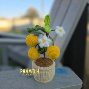 Veggie Fruit Plant Pot, Monstera Houseplant Pot, Lemon, LimeWatermelon, Chilli, Eggplant Crochet, Pumpkin | Home Decor | Desk Decor Plant