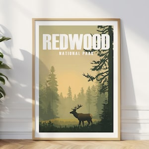 Redwood Poster California Travel Print Redwood National Park Art Redwood Gift for Hikers National Park Traveler Gift Tall Trees Grove Prints